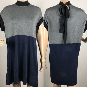BCBG MaxAzria gray & black color block dress sz s